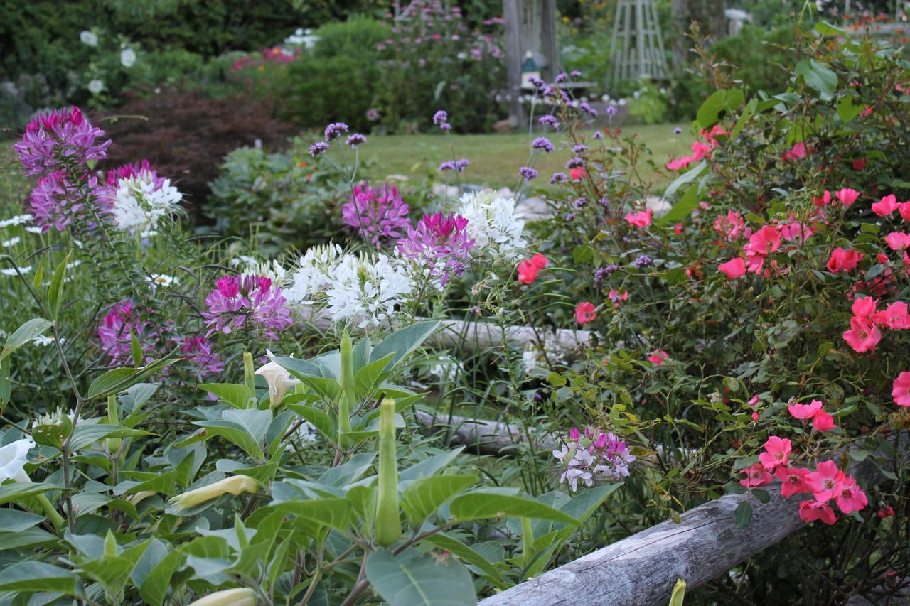 Lavender Bay Bed & Breakfast Barnstable Dış mekan fotoğraf